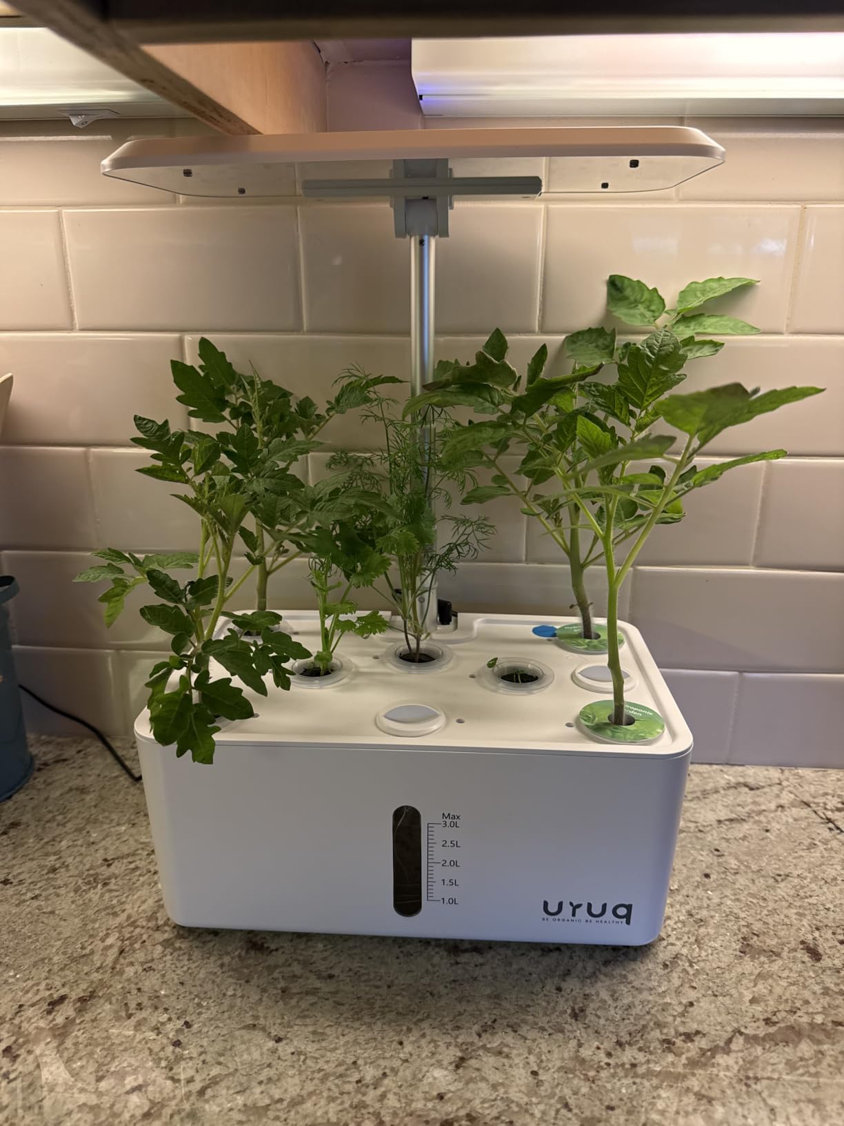 URUQ Hydroponics Growing System Garden: 8 Pods Indoor Herb Garden with Grow Light Plants Germination Kit Quiet Automatic Hydroponic Height Adjustable customer photo 2