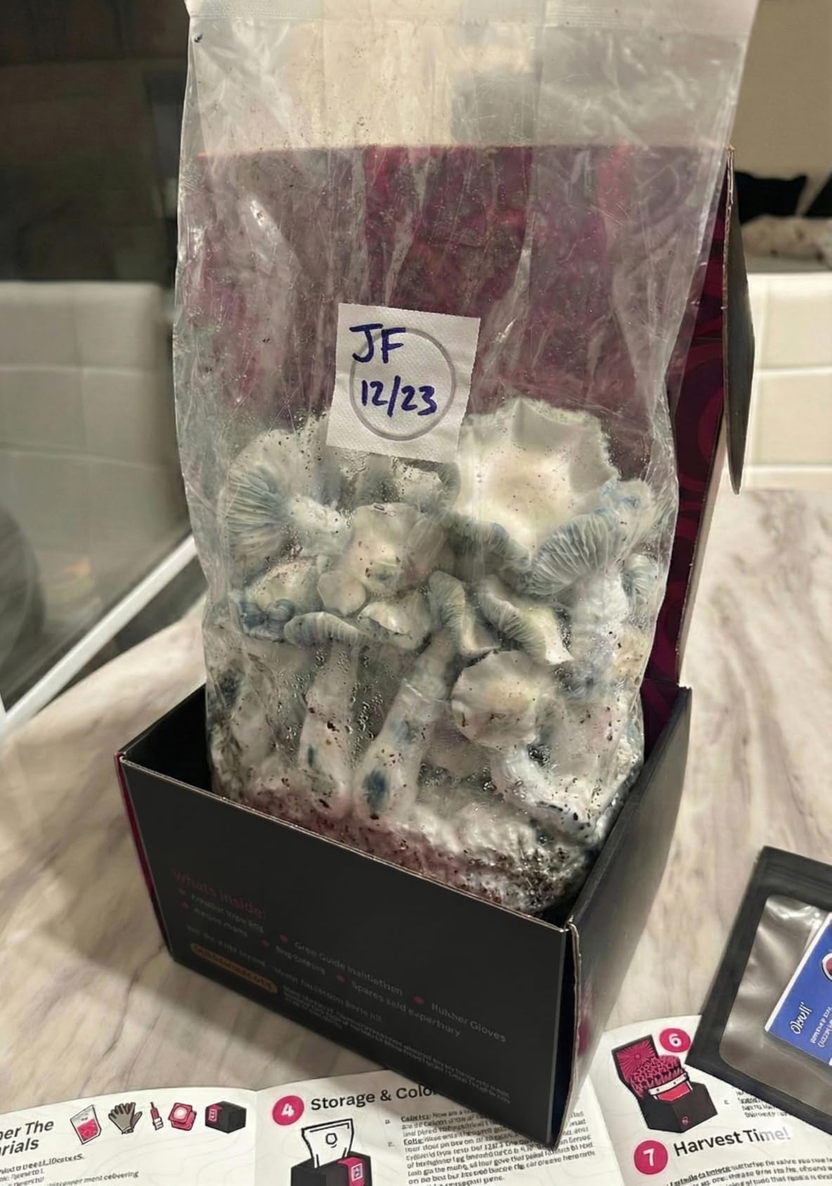 Mushroom Grow Kit - All-in-One 4LB Grow Bag with Self-Healing Port - Fast-Colonizing Universal Substrate for Any Mushroom - Multi-Flush High-Yield - USA Made (Just Add Your Own Culture) customer photo 1