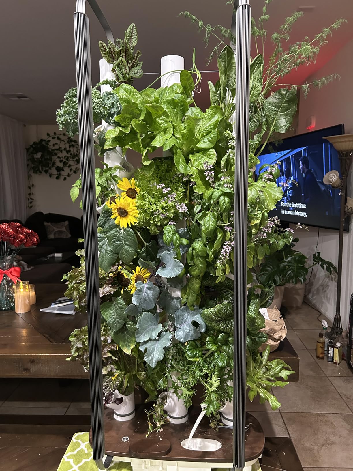 Gardyn Home 4 Vertical Hydroponics Growing System Kit - 30 Non-GMO Plants, Herbs, Vegetables - Smart Garden Hydroponic Herb Garden Planter Indoor Kit - Indoor Gardening System w/LED Grow Lights customer photo 2