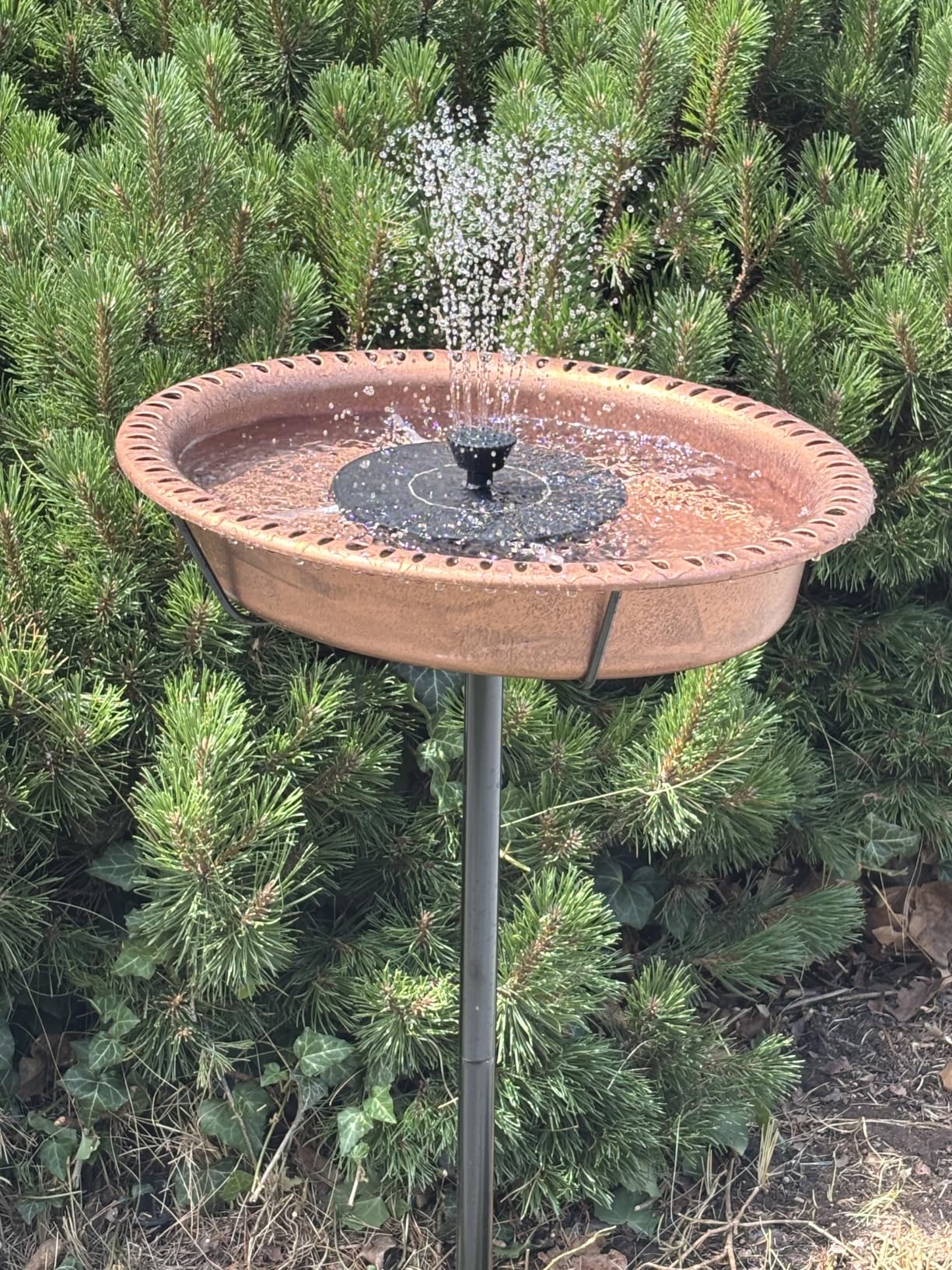 VIVOHOME Oval Bird Bath with Solar Fountain and Metal Ground Stake, Green | Solar-Powered Pump, Weather-Resistant ABS, 1.3-Gallon Capacity, for Outdoor/Garden, Bird-Friendly, Easy to Clean customer photo 2