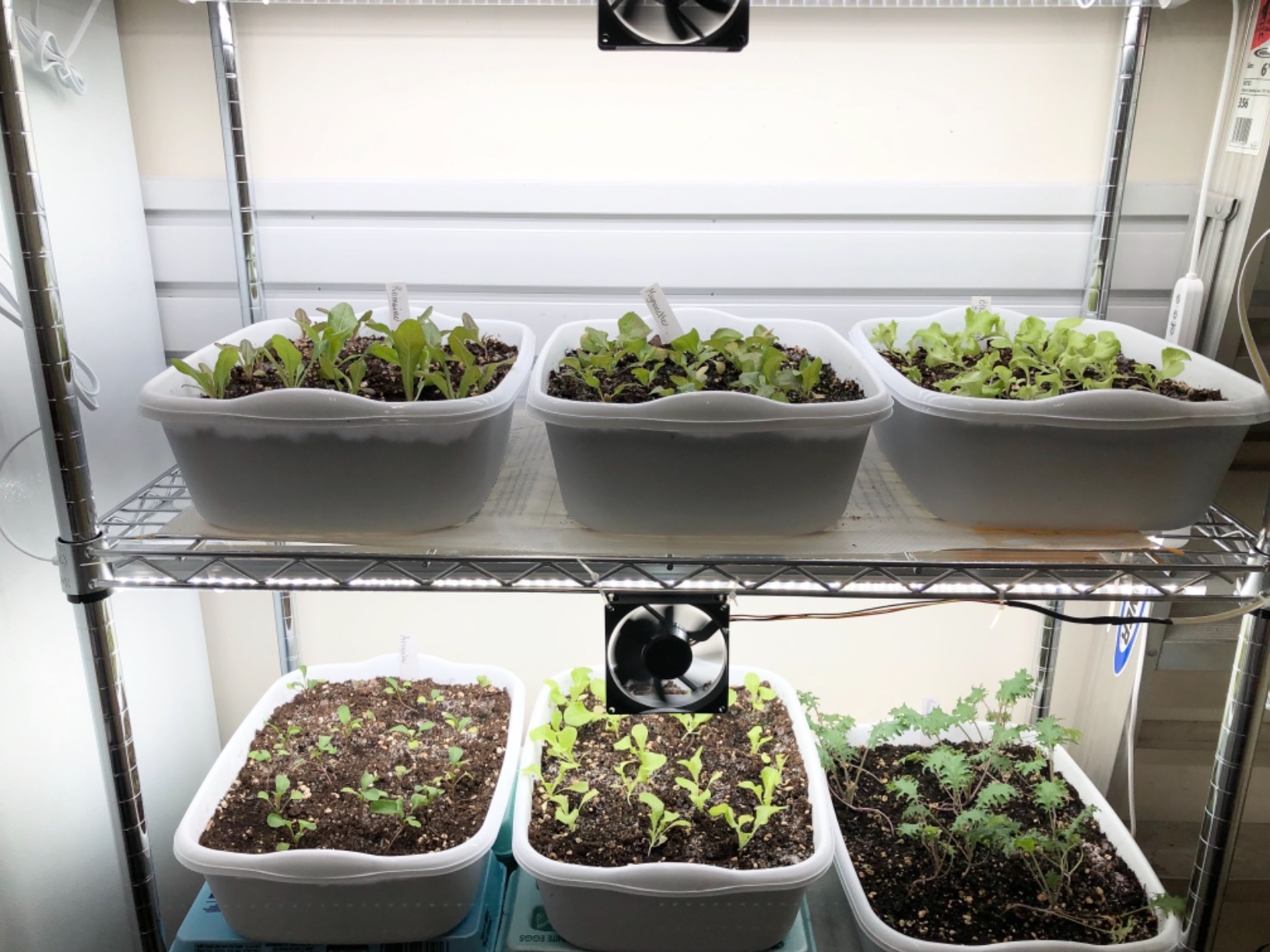 JESLED Indoor Greenhouse with Grow Light, 35.4x13.8x59IN | 3FT Full Spectrum 5000K LED, Seed Starting, Tiered Lighting Control, Built-in Timer & Thermo-Hygrometer customer photo 1