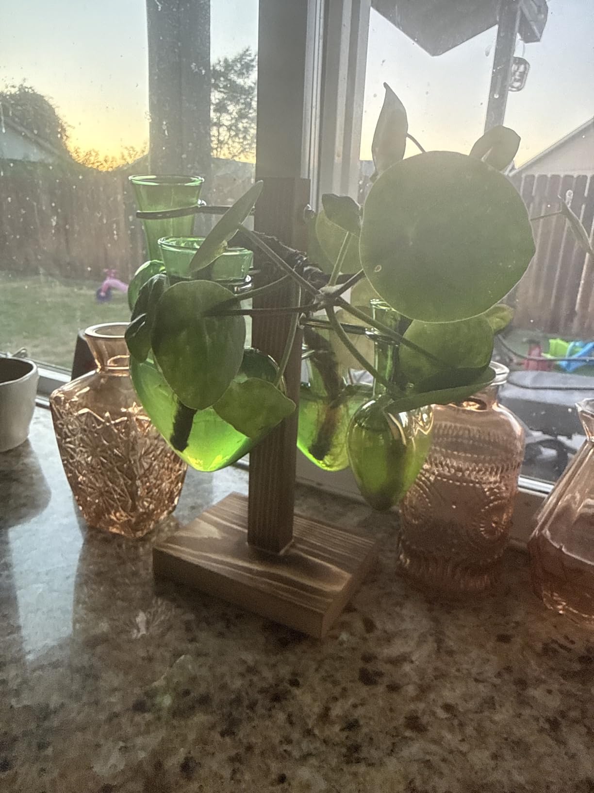 Nacome Plant Terrarium Propagation Stations: Green Vase with Wooden Stand | 4 Irised Crystal Glass, Heart Shaped, Home Table Decor, Birthday Gifts for Plant Lovers Women Mom Wife customer photo 2