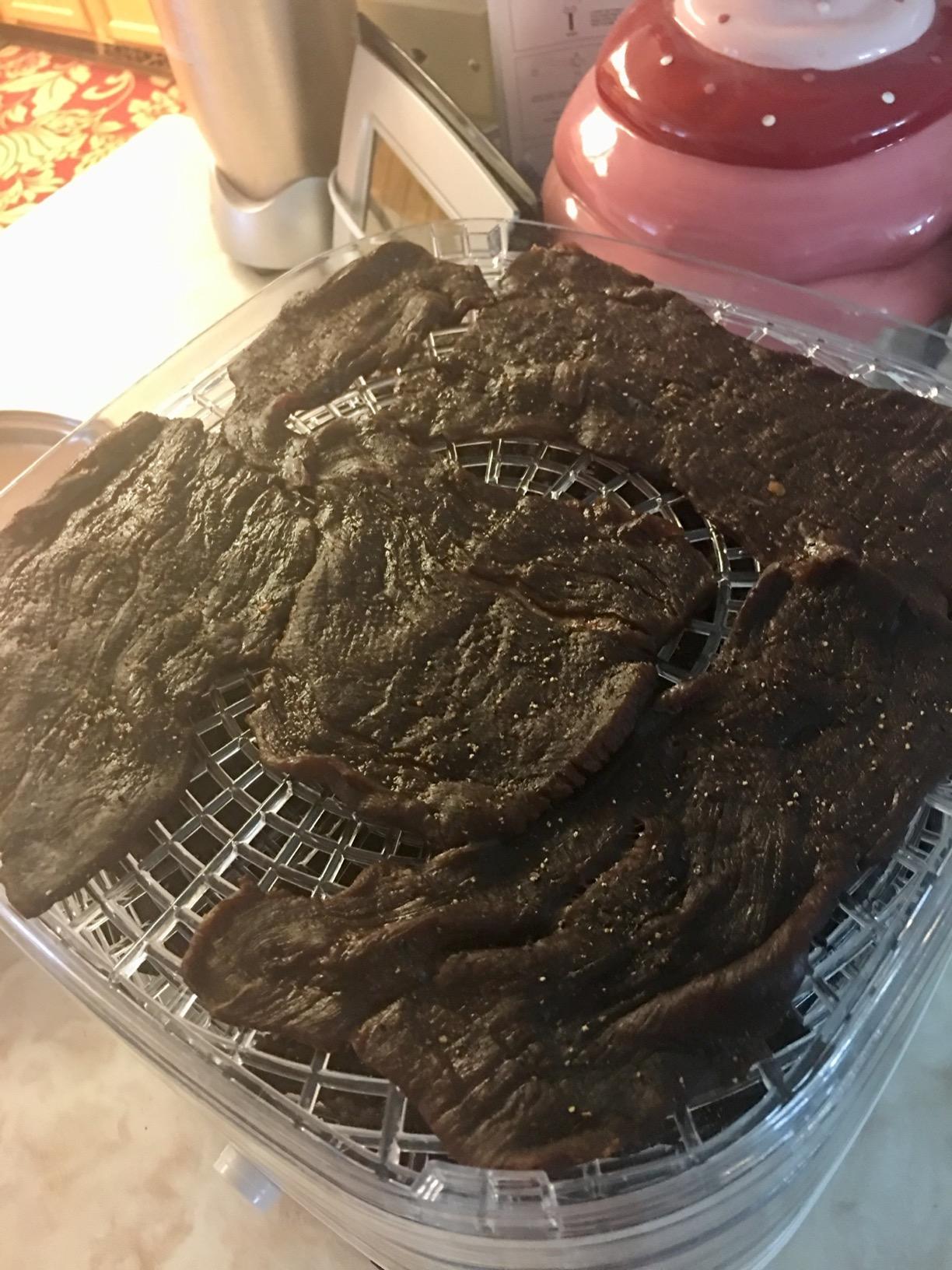 NutriChef Food Dehydrator Machine | Dehydrate Beef Jerky, Meats, Mushrooms, Fruits & Vegetables | Great For At Home Use | Uses High-Heat Circulation for Even Dehydration | 5 Easy to Clean Trays. customer photo 2