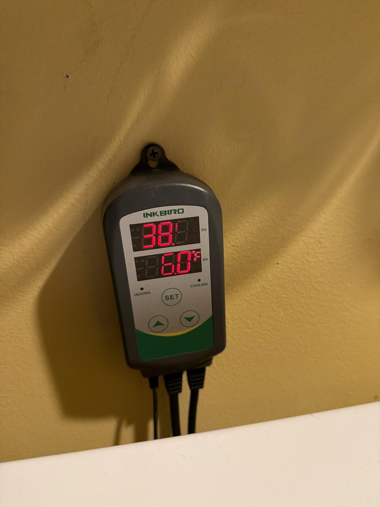 Inkbird ITC-308 Digital Temperature Controller Thermostat | 110V 10A 1100W 2-Stage Outlet with Heating and Cooling Mode for Carboy Homebrew Fermenter Greenhouse Terrarium customer photo 1