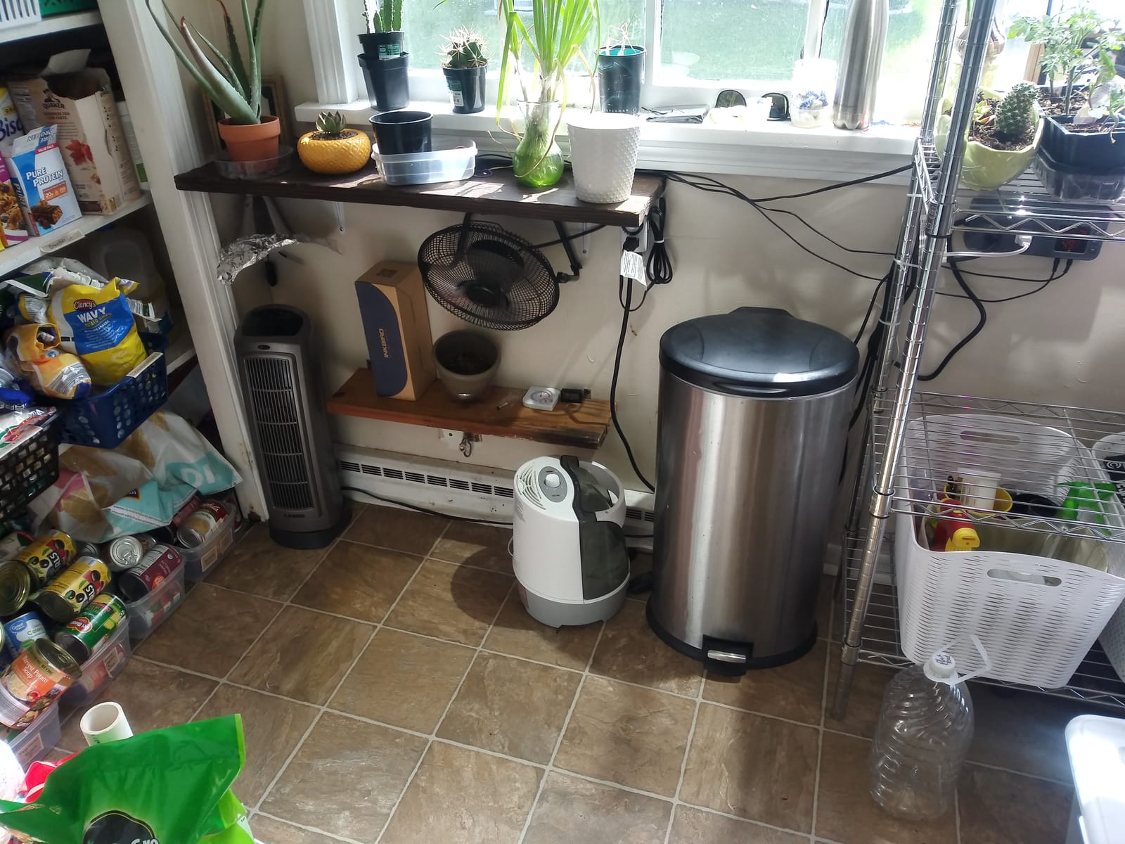Temperature and Humidity Controller ITC-608T Pre-Wired Dual Stage Thermostat 120VAC 15A 1800W ETL Listed Mushroom Greenhouse Homebrew customer photo 2