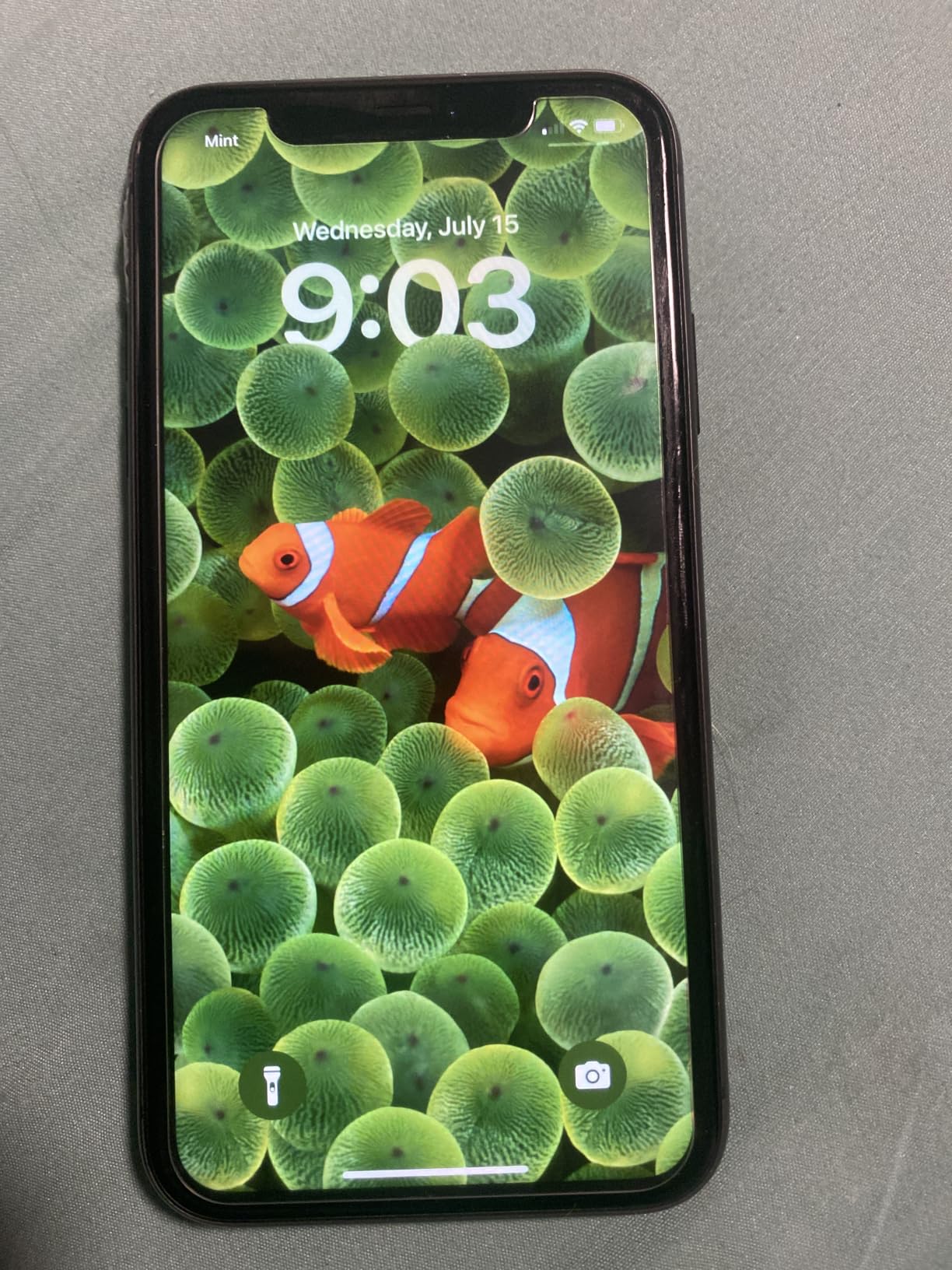 Apple iPhone 11, 64GB, Purple - Unlocked (Renewed) customer photo 2