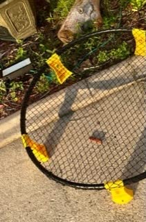 Roundnet Game Set with 3 Balls and Strip Light (ONLY for Pro Kit) - Roundnet Game for Outdoor Indoor Lawn Beach Backyard and Park customer photo 1