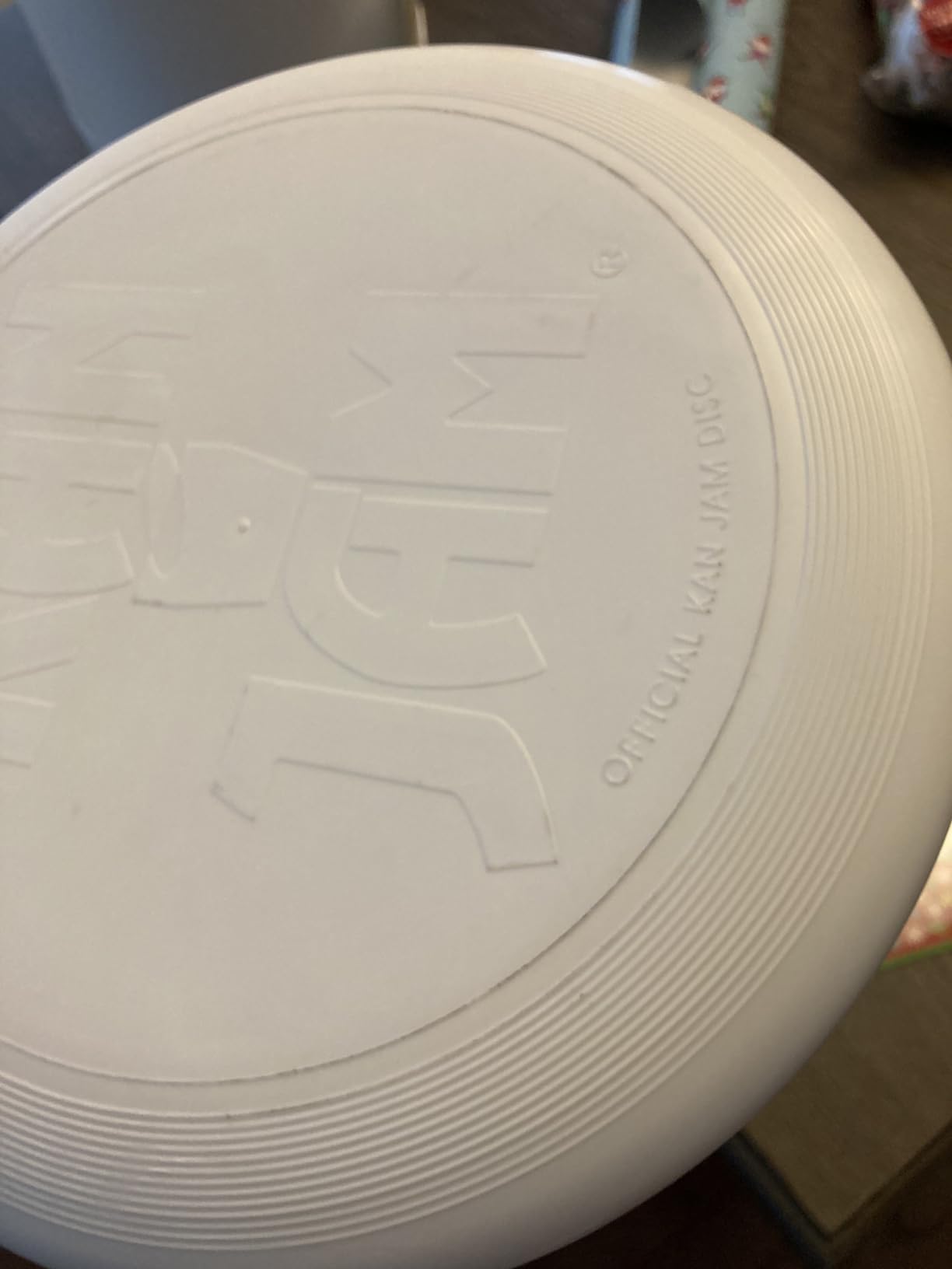 NFL Direct Print Disc Throwing Game customer photo 2