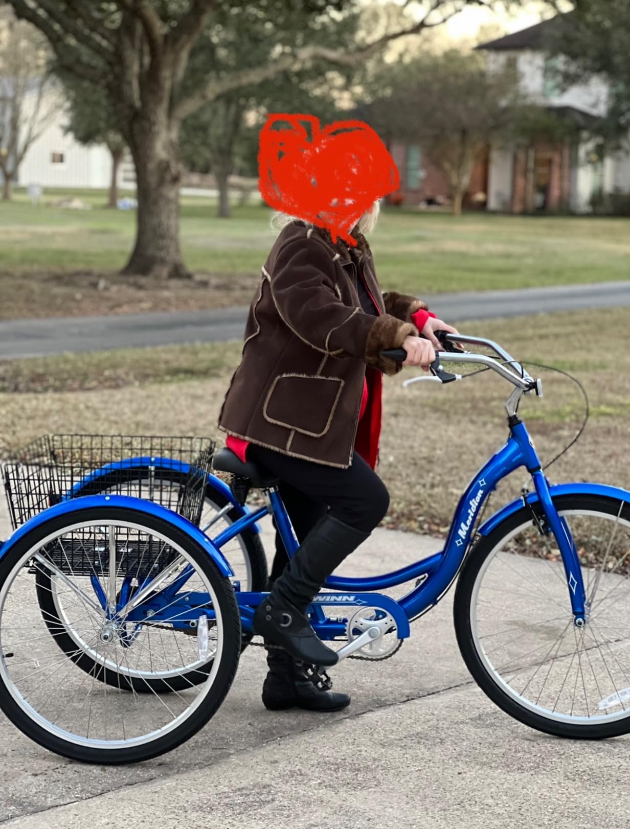 Schwinn Meridian Adult Tricycle customer photo 2