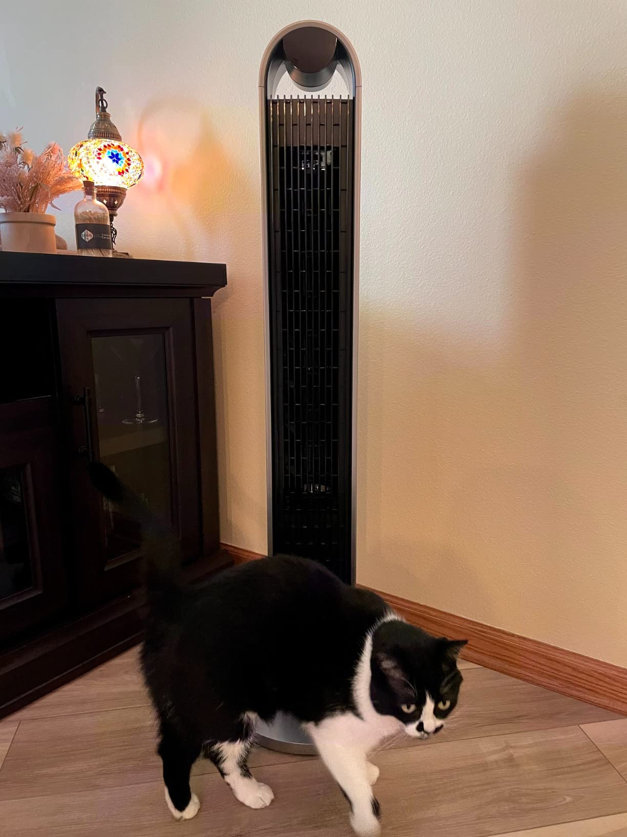 DREO Smart Tower Fan for Bedroom, 120° Oscillating Fan, 12 Speeds | 28ft/s Airflow Quiet Fan, DC Motor, 4 Modes Standing Fan, 12H Timer Cooling Fan for Home, Living Room, App & Alexa Control customer photo 1