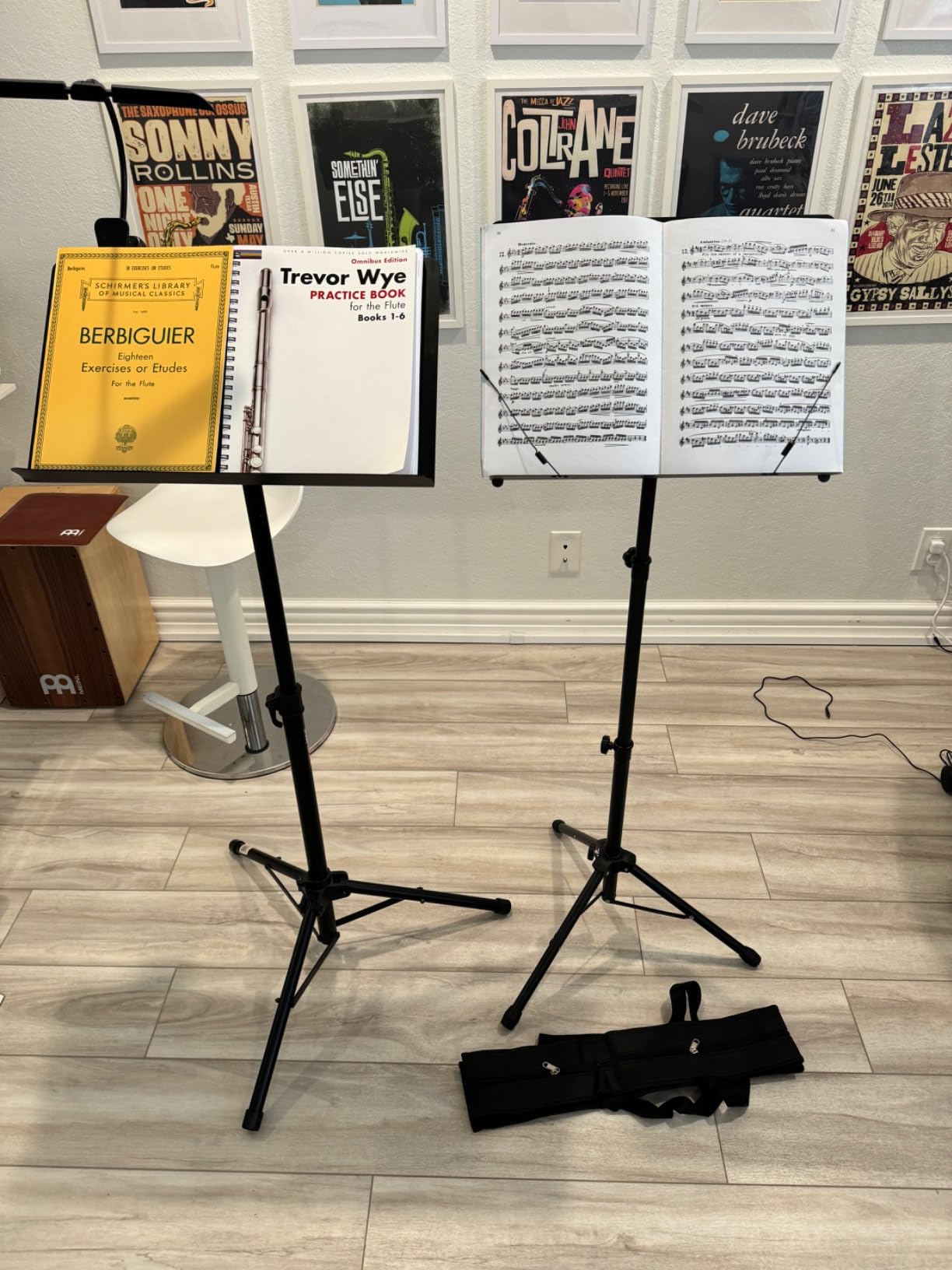 CAHAYA Sheet Music Stand Foldable with Tri-fold Panel Portable Metal Stand | Stable Adjustable-Height Floor Music Stands with Carrying Bag Matte Frosted Finish for Piano Guitar Violin Learning Practice customer photo 2