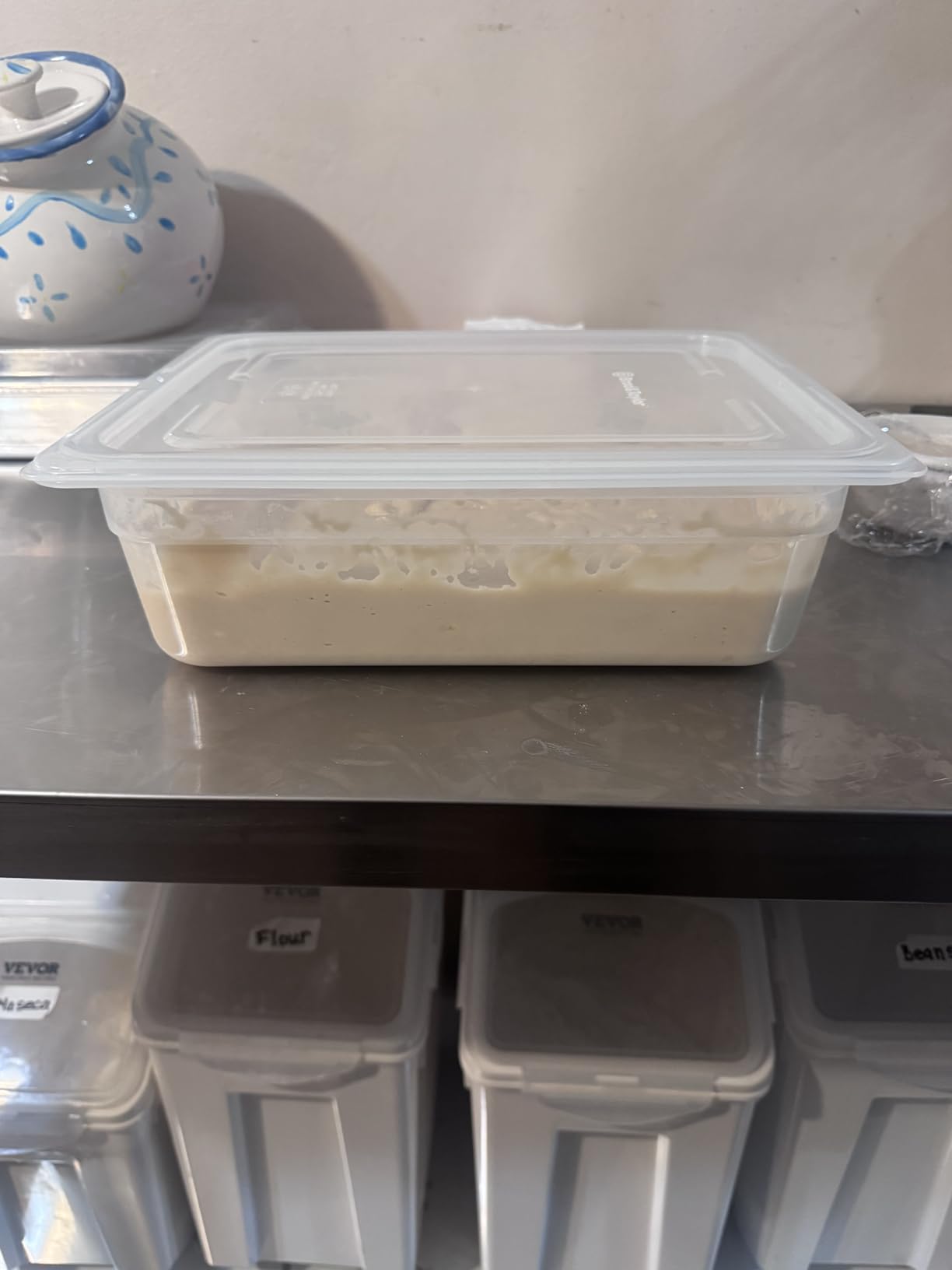Brod & Taylor Proofing Container With 6L Capacity, Fits Up to 3000 Grams of Dough customer photo 1