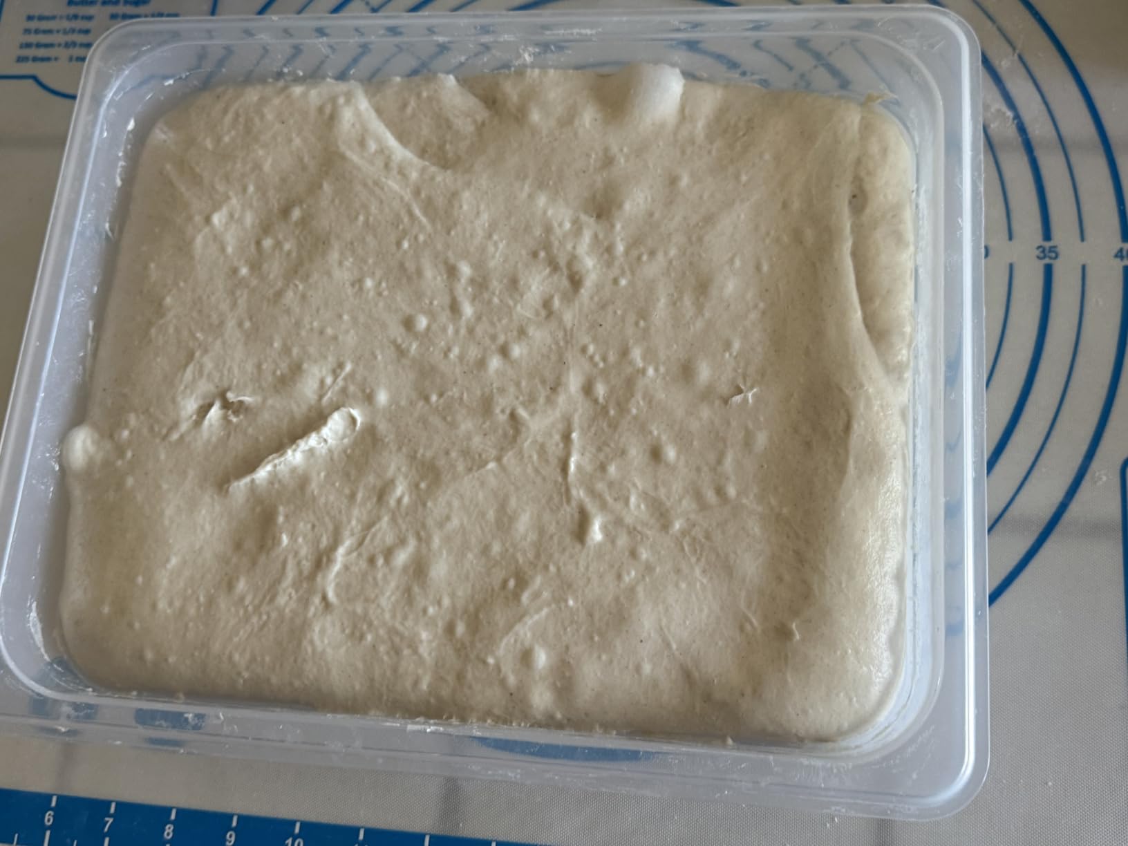 Brod & Taylor Proofing Container With 6L Capacity, Fits Up to 3000 Grams of Dough customer photo 2