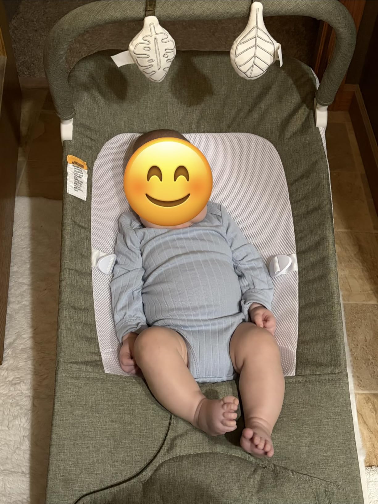 Baby Delight Highland Baby Bouncer, Sage Tweed | For Infants 0-6 Months, 3-Position Recline, Adjustable 3-Point Harness, Secure Locking Mechanism, Folds Flat customer photo 1