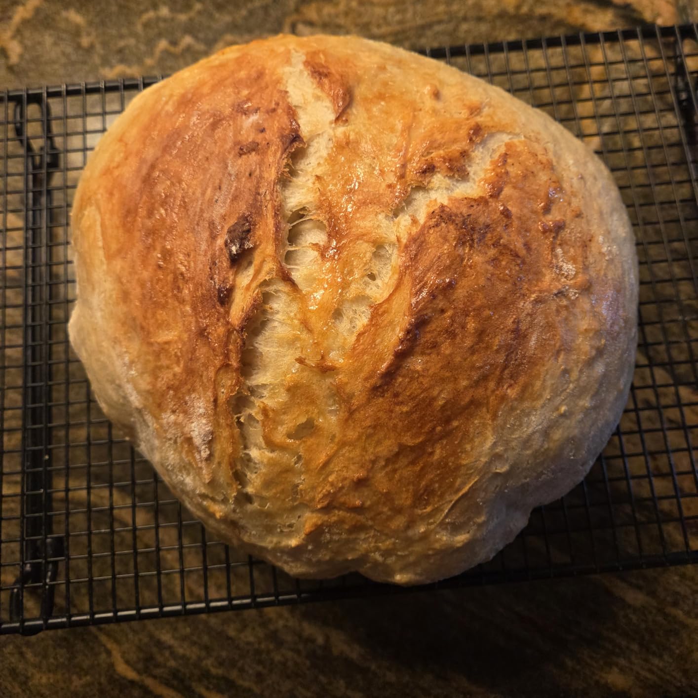 Folding Bread Proofing Box with 50-113F Temp Control & 48H Timer customer photo 1