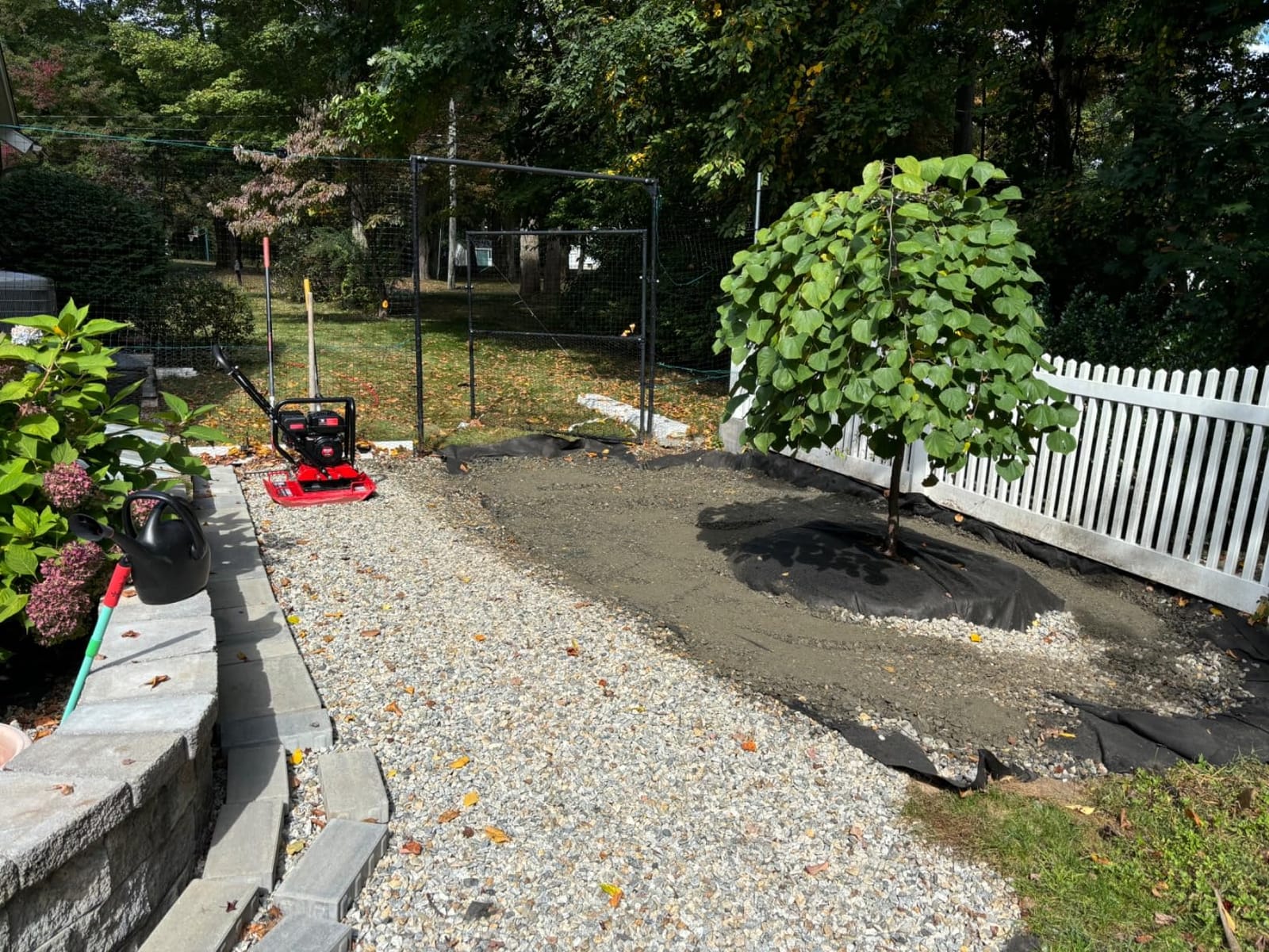 WEN Plate Compactor, 7HP, 212cc, with Wheel Kit and 4496-Pound Compaction Force (56012) customer photo 2