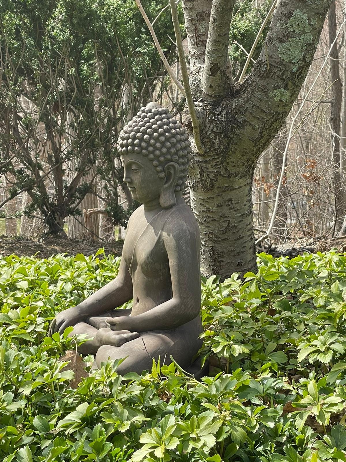 John Timberland Sitting Buddha 29 1/2
