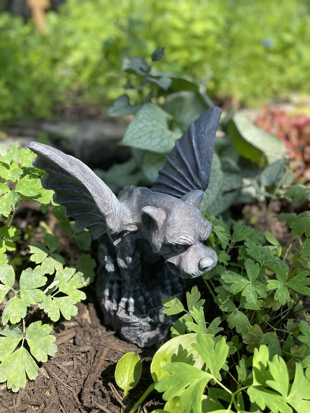 Design Toscano Florentine Gargoyle Statue: Large customer photo 1