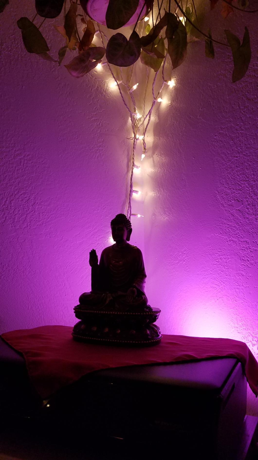 Top Collection Meditating Shakyamuni Buddha Statue Touching the Earth - The Enlightened One Sculpture in Premium Cold Cast Bronze- 9-Inch Supreme Buddha Figurine customer photo 1