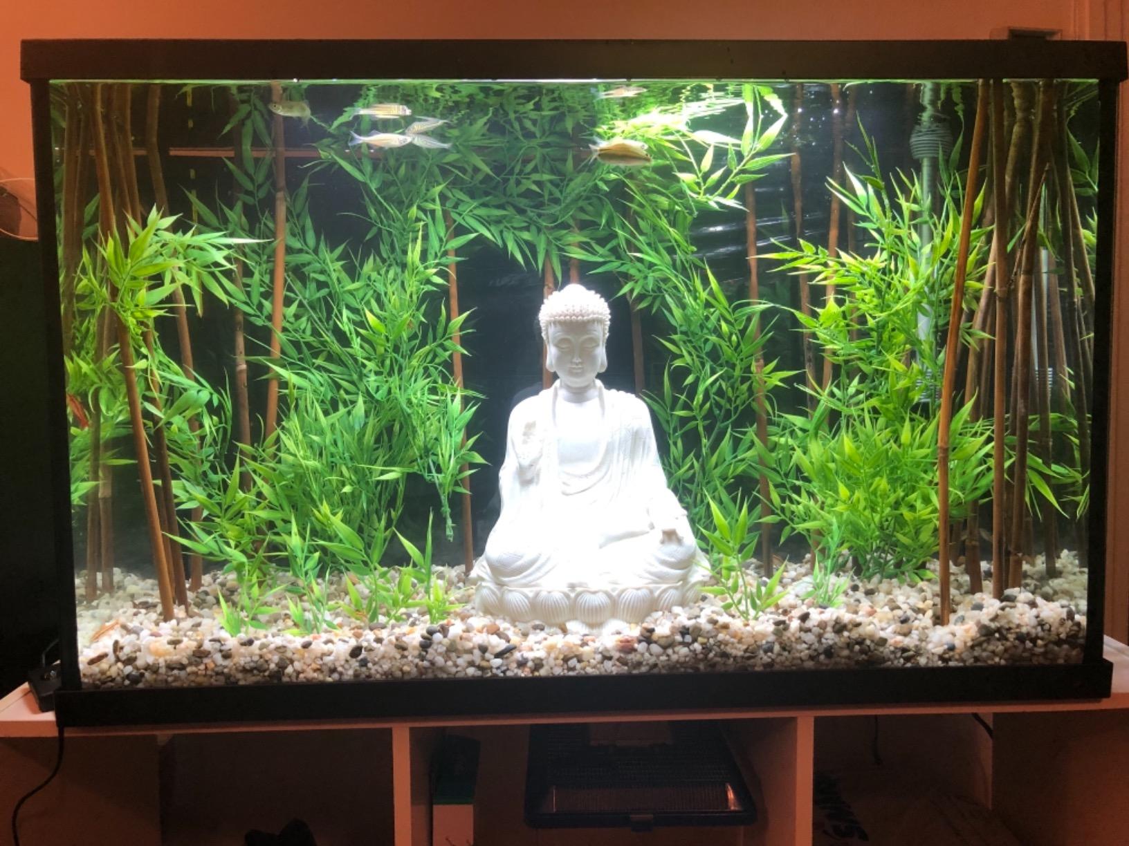 Bellaa Buddha Statue, Blessing, Sitting, Meditating, Lotus Mudra, Yoga customer photo 1