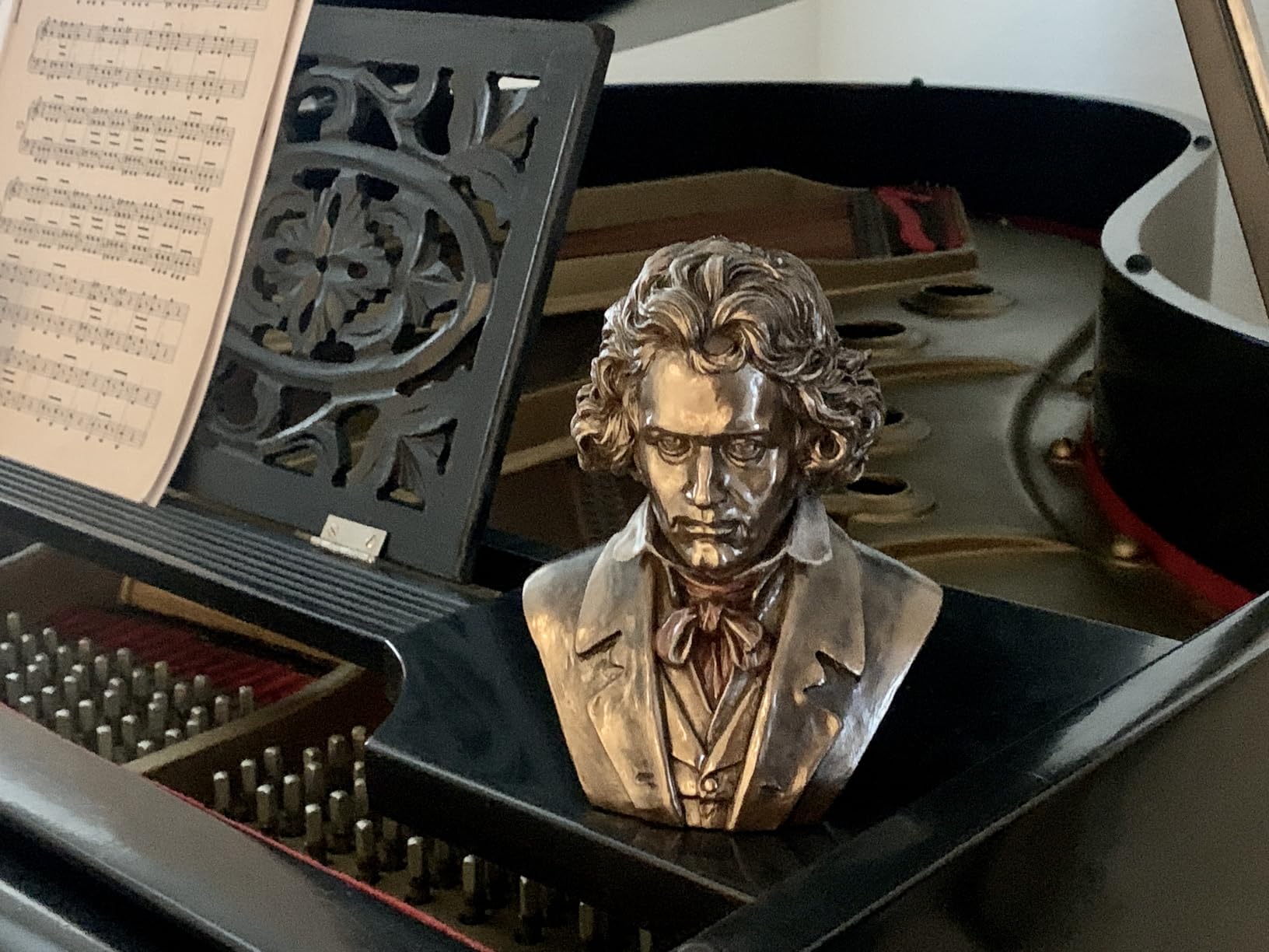 Veronese Design 6 1/2 Inch Ludwig Van Beethoven Bust Cold Cast Resin Bronze Finish Statue Realistic Figurine customer photo 1