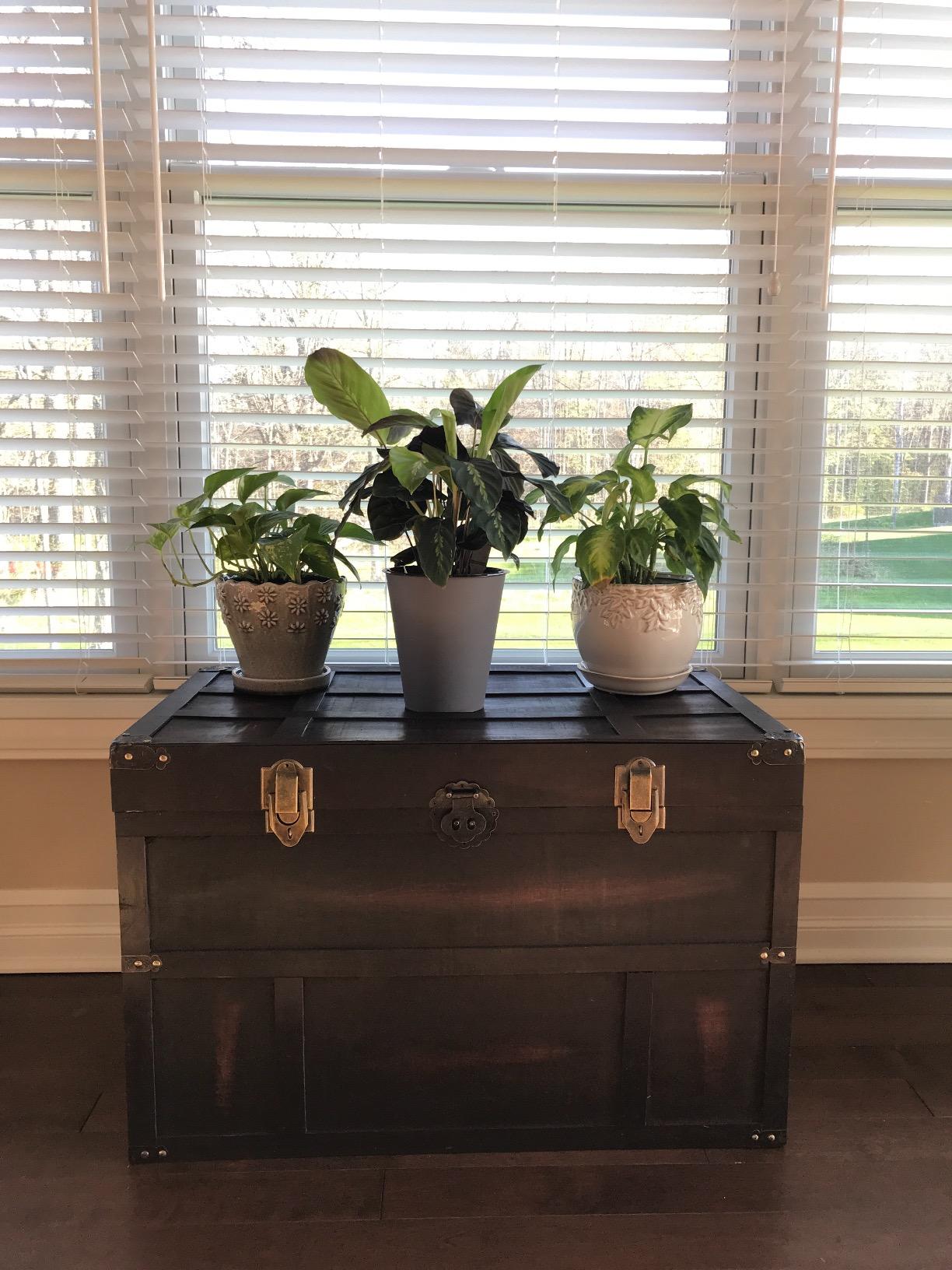 Vintiquewise QI003041LNEW Antique Style Wooden Steamer Trunk customer photo 2