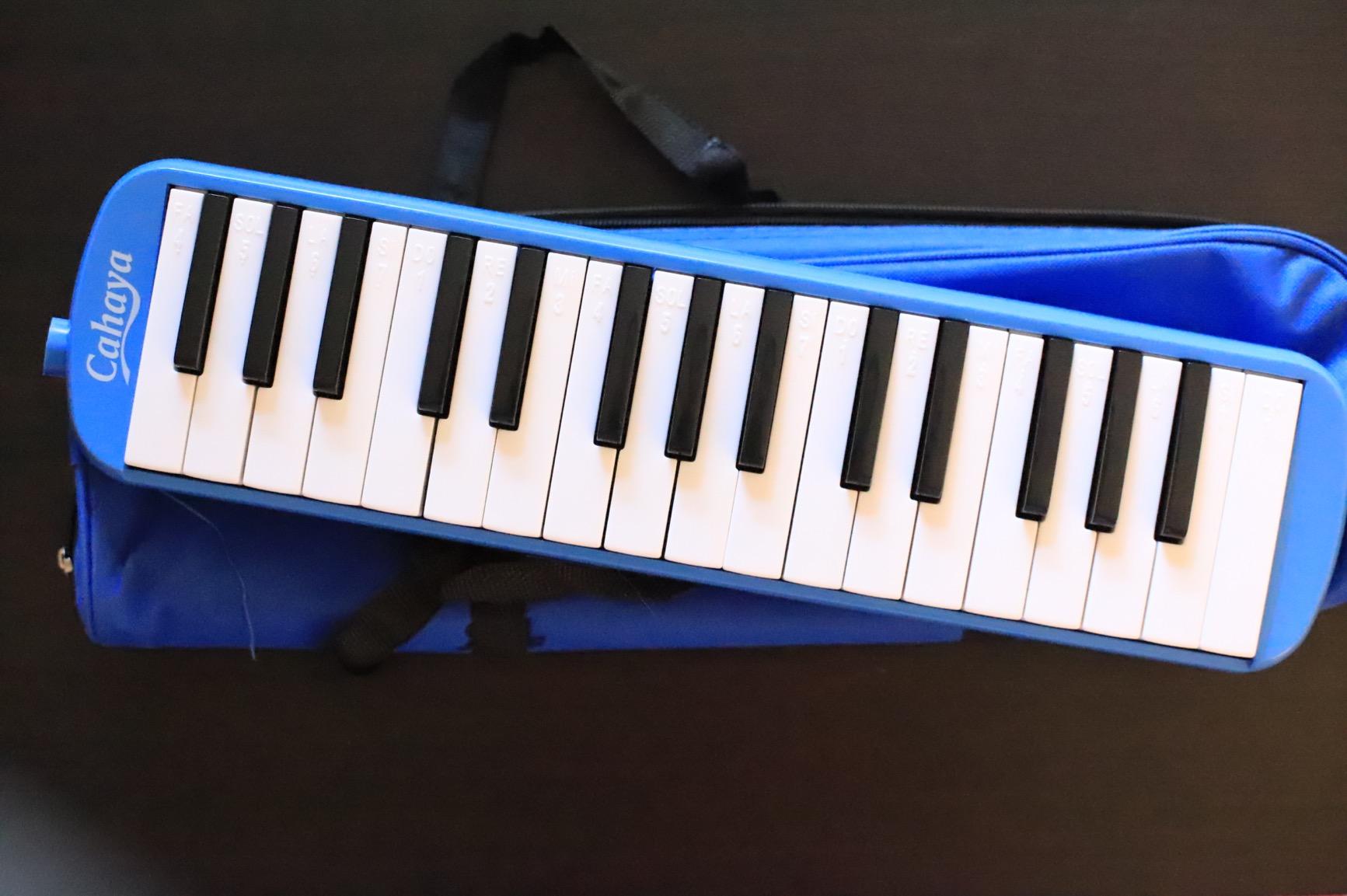 CAHAYA Melodica Piano Keyboard 32-Keys with Case for Beginners Blue customer photo 2