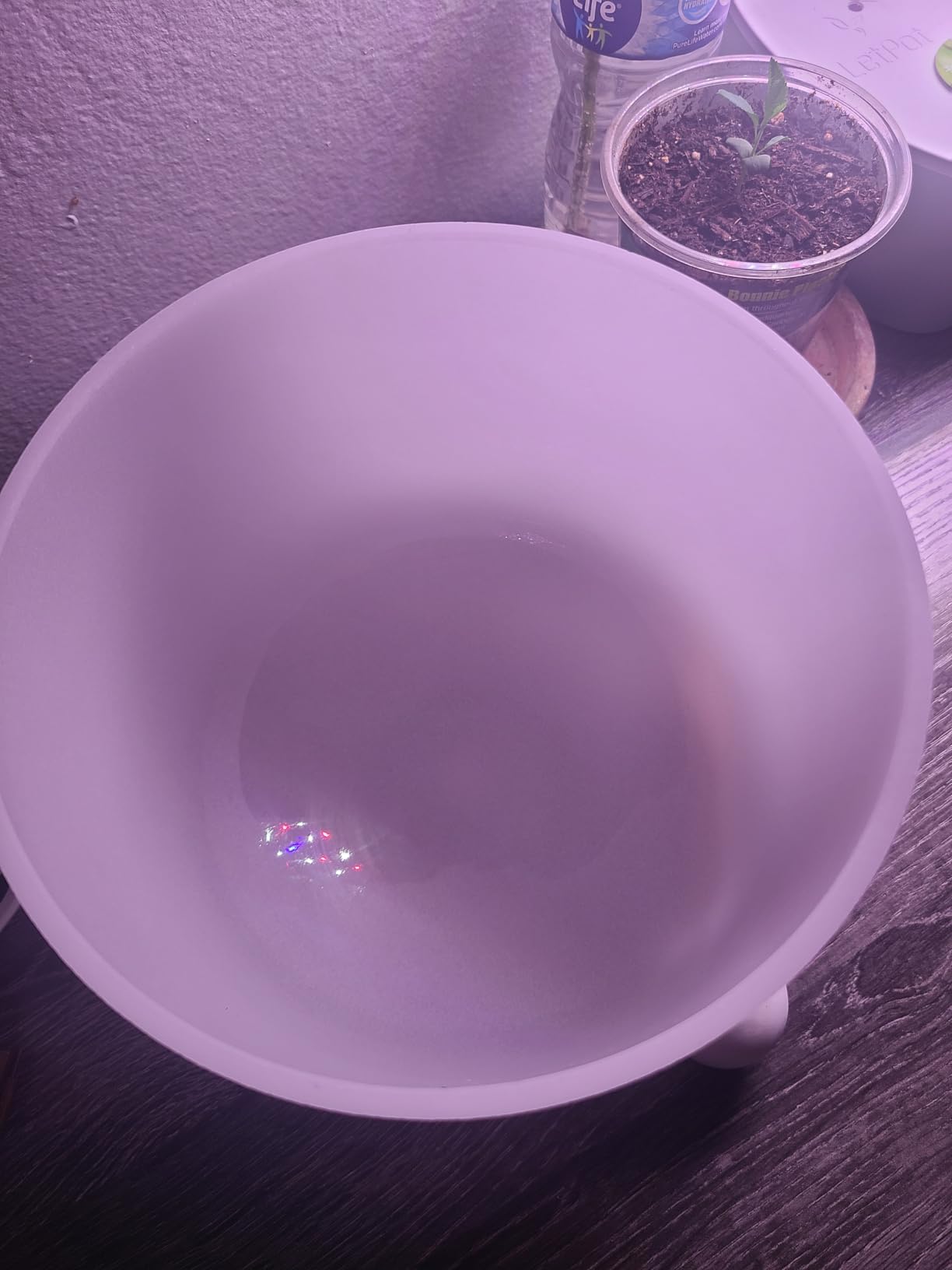 432Hz Perfect Pitch A Note Third Eye Chakra Frosted Quartz Crystal Singing Bowl 8 inch mallet and o-ring included customer photo 2