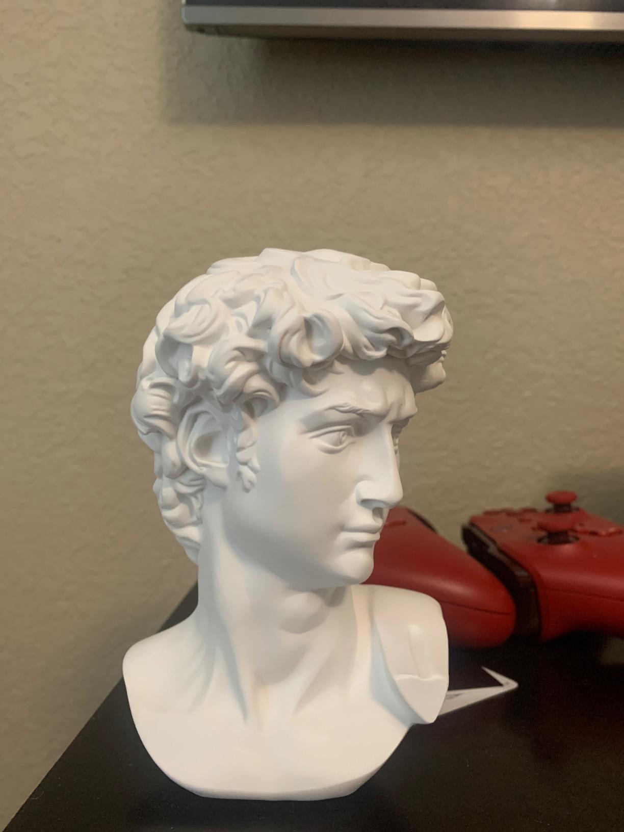 11 Inch Classic Venus de Milo Replica Aphrodite Greek Goddess Bust Statue Sculpture Figurine for Decor customer photo 1