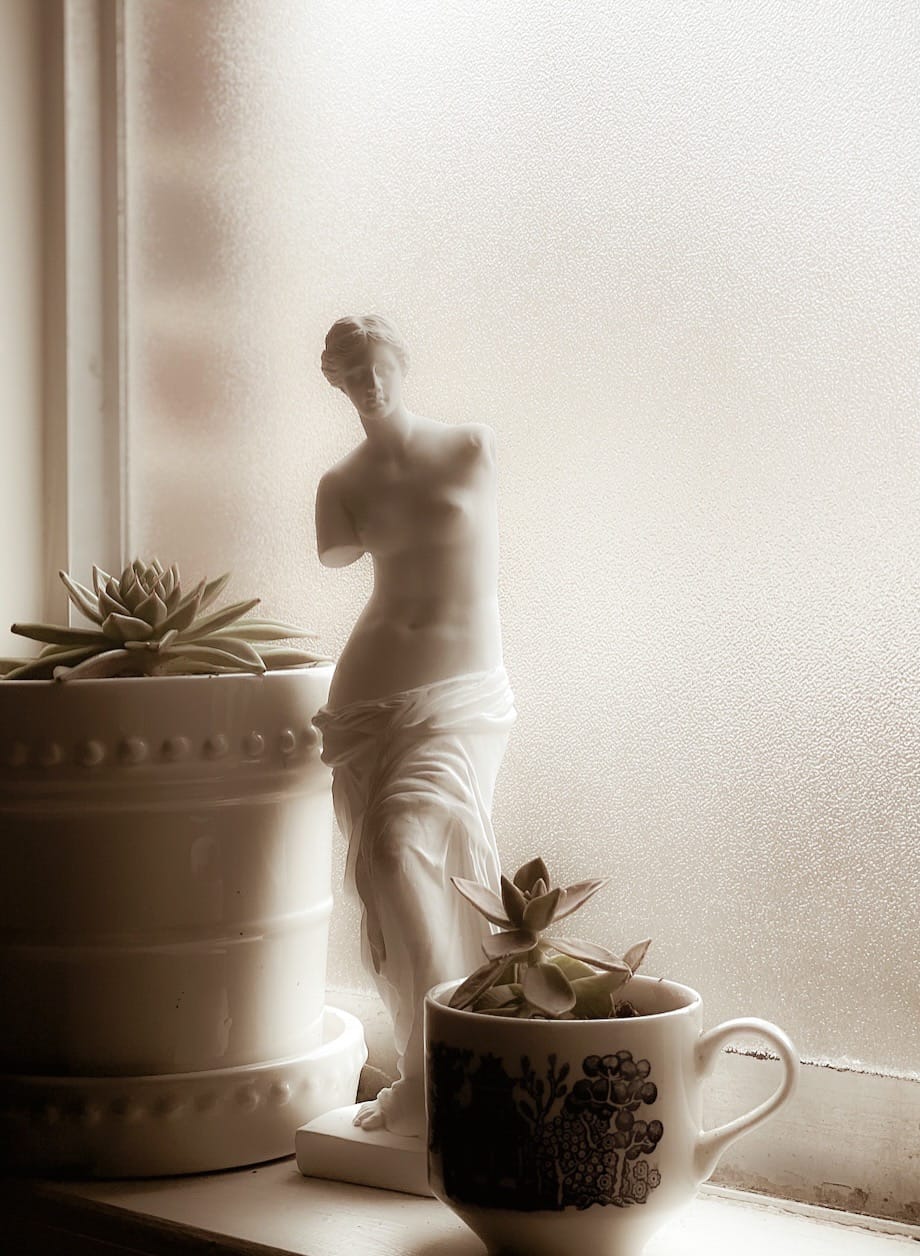 Venus de Milo Statue - Handcrafted Resin Sculpture 11 Inch Tall White Greek Goddess Art | Museum Replica for Home Decor, Office Desk, Bookshelf Display | Roman Aphrodite Mythology Decor customer photo 1