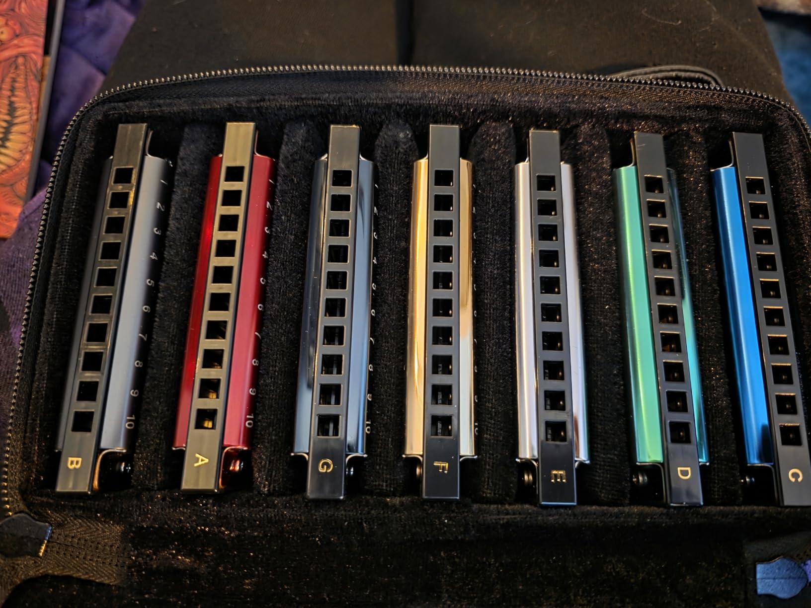 East top Harmonica Set, 7 Keys Diatonic Mouth Organ with Case, A, B, C, D, E, F, G, Professional, Bronze Reed, Polished Finish customer photo 1