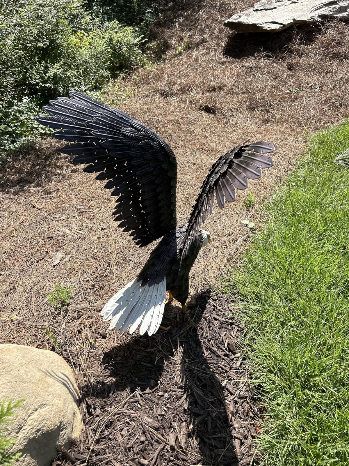 chisheen Bald Eagle Garden Statue Metal Yard Art for Outdoor Decoration customer photo 1