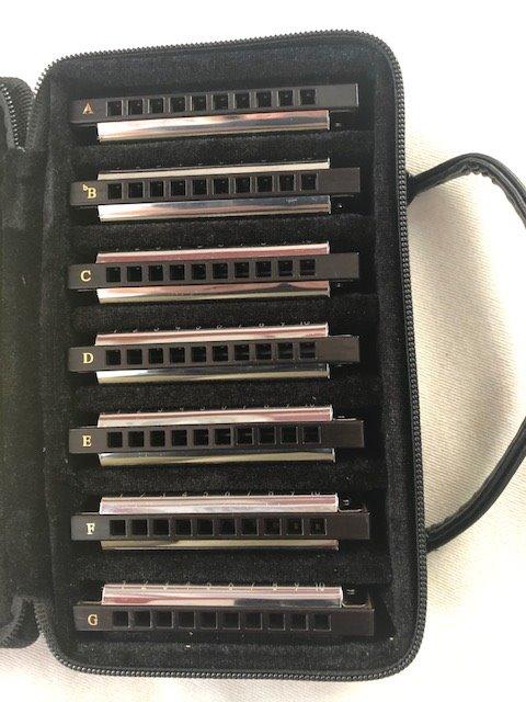 Eastar Major 7-Key Diatonic Blues Harmonica Kids C D E F G A Bb, 7-Pack Kit customer photo 1
