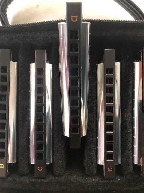 Eastar Major 7-Key Diatonic Blues Harmonica Kids C D E F G A Bb, 7-Pack Kit customer photo 2