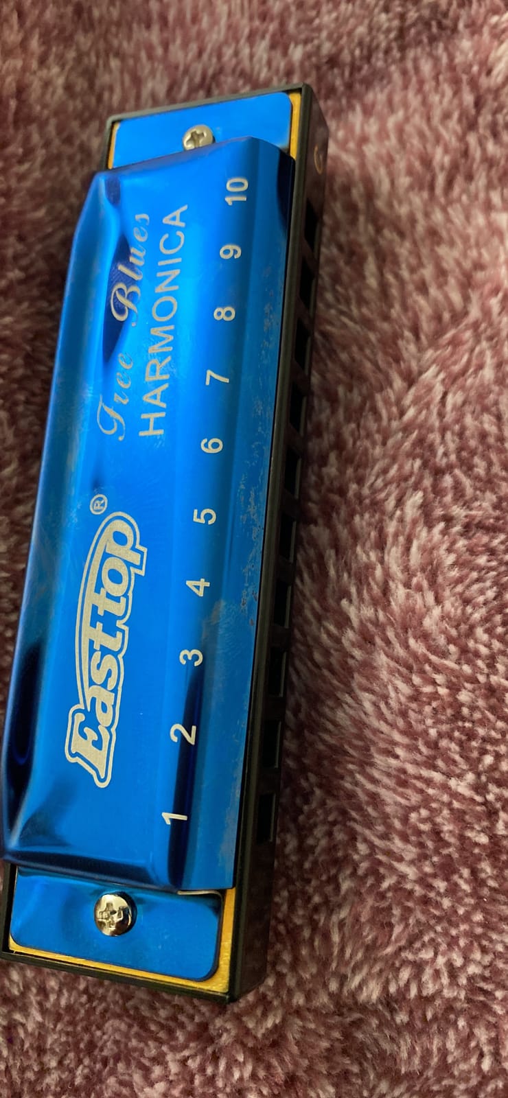 East top Deluxe Blues Harmonica C Key with Case for Adults,Beginner,grey customer photo 1