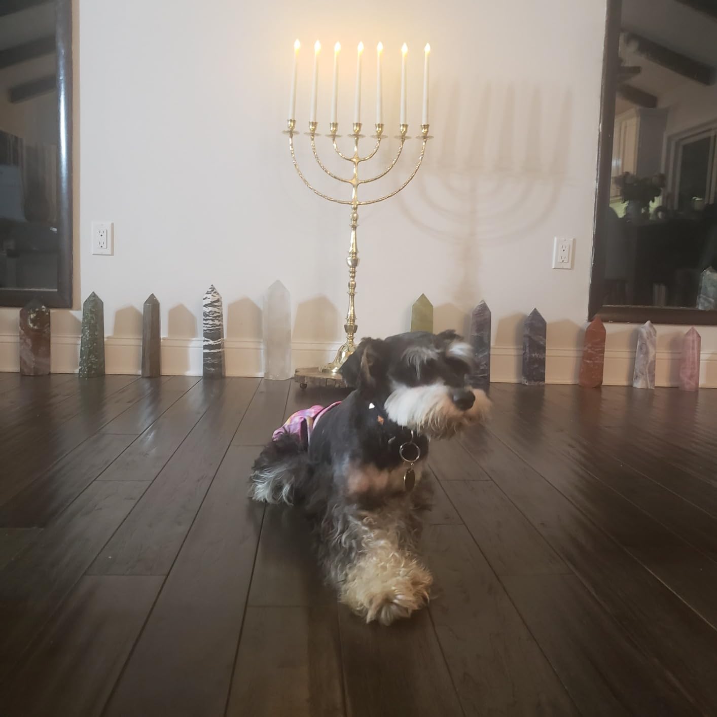 Giant Temple Menorah 7 Seven - Branch | 32-Inch (81cm) Solid Brass Candelabra | Large Gold Jewish Menora for Candles & Oil Cups customer photo 2