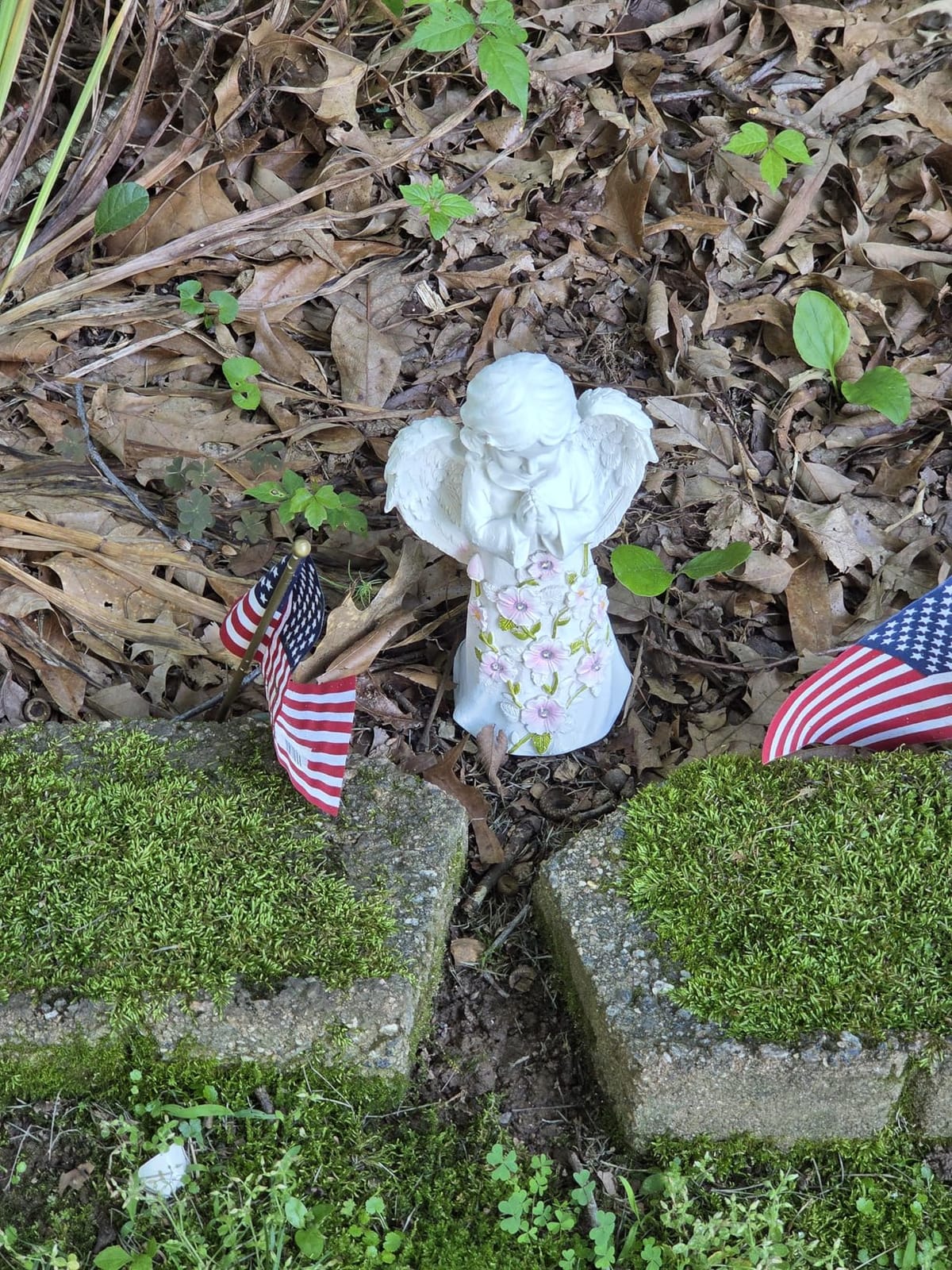 Nacome Solar Angel Garden Statue - Succulent & 7 LED Lights, Outdoor Decor customer photo 1