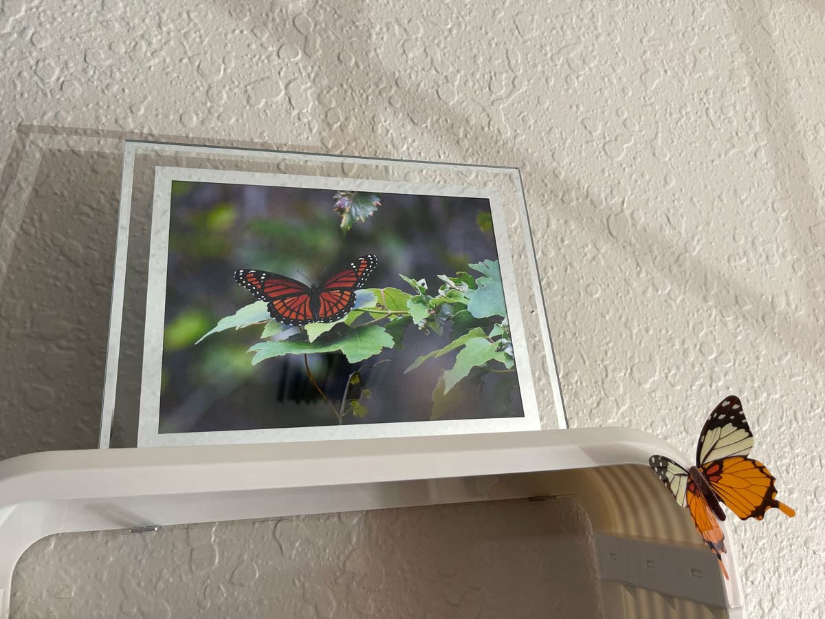 5x7 Picture Frames - Glass Photo Frame for Tabletop/Desktop Display, Horizontal/Vertical Orientation, Silver Finish customer photo 1