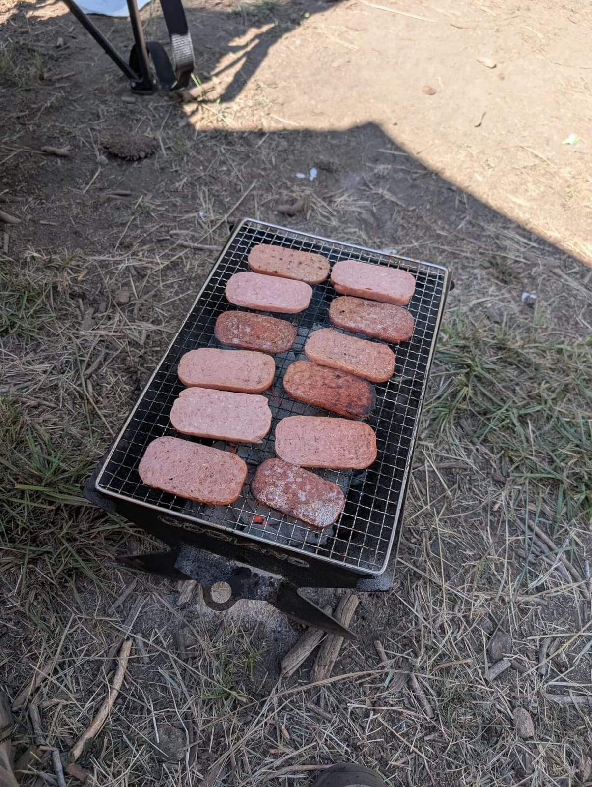 Odoland Portable Folding Charcoal Grills for Outdoor Cooking Bonfire BBQ customer photo 1