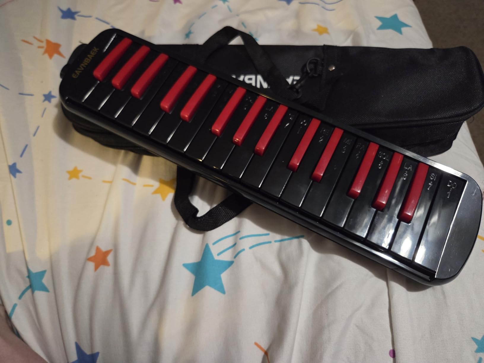 Eavnbaek 37 Keys Melodica Instrument Soprano Air Piano Keyboard Pianica customer photo 2