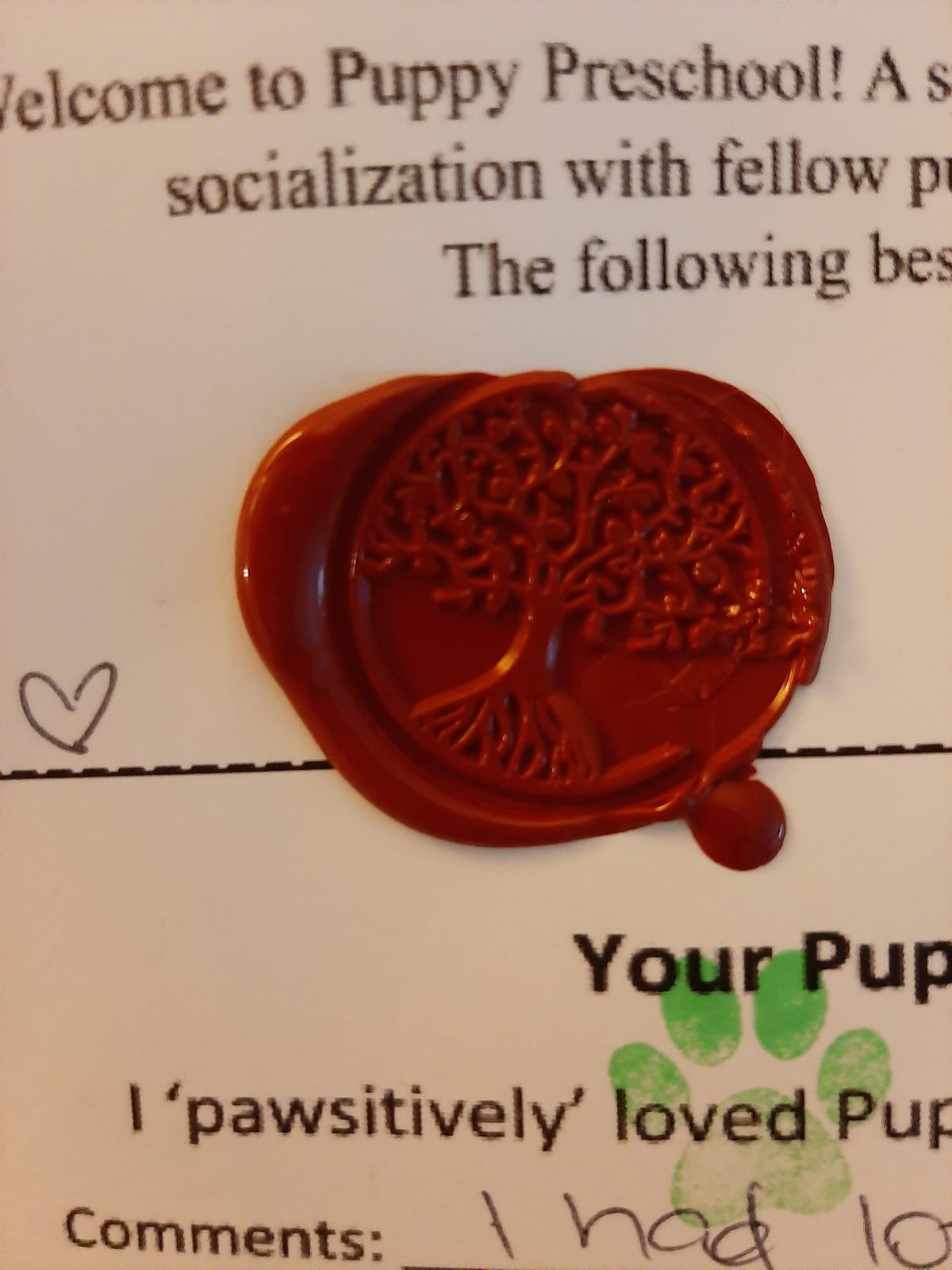 Yoption Wildflower Wax Seal Stamp Kit with Sealing Wax Sticks customer photo 2
