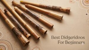 Best Didgeridoos For Beginners