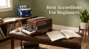 Best Accordions For Beginners