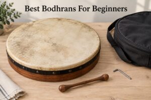 Best Bodhrans For Beginners