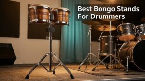 Best Bongo Stands For Drummers