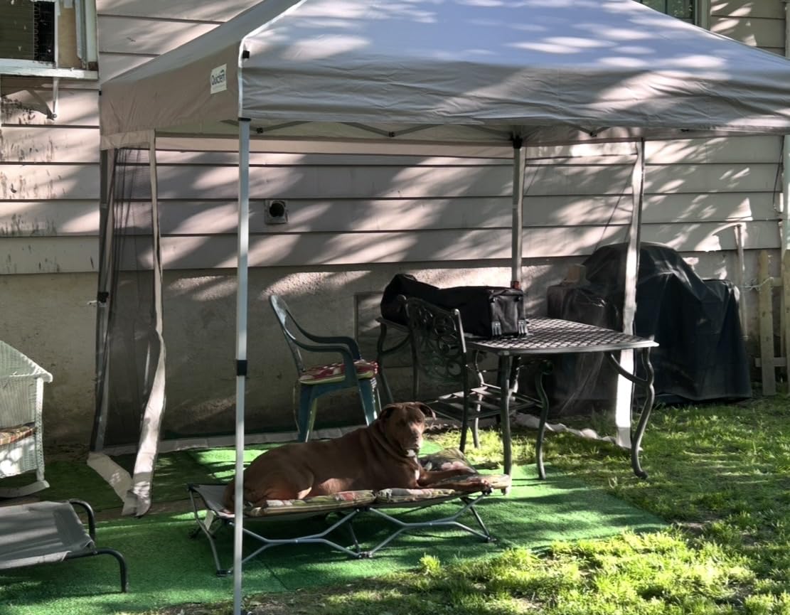 Quictent 10'x10' Pop up Screened Canopy Tent with Mosquito Netting customer photo 1