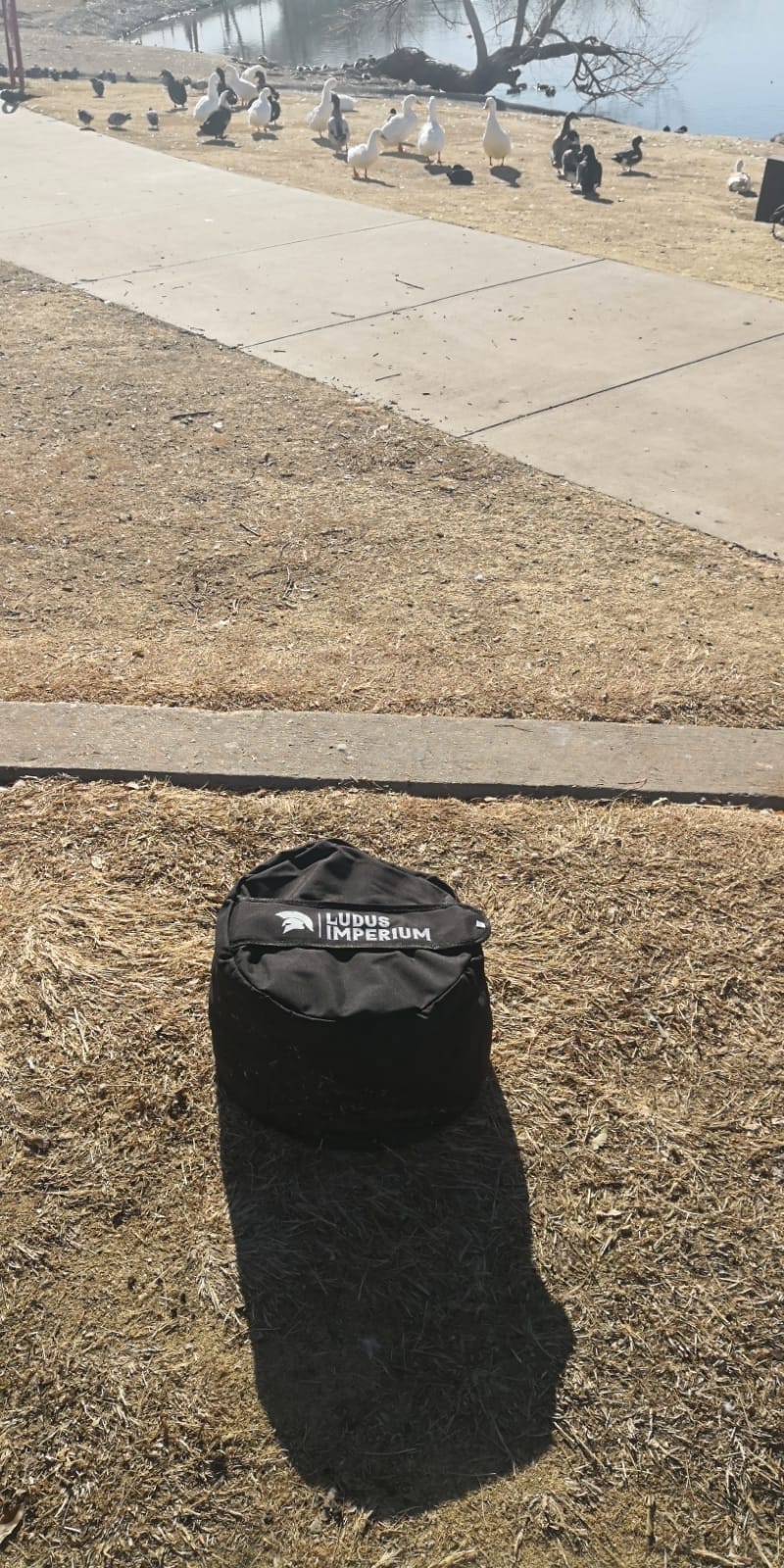 Training Sandbag, Heavy Duty Workout Sandbags for Training, Fitness, Cross-Training & Exercise, Workouts, Sandbag Weights customer photo 1