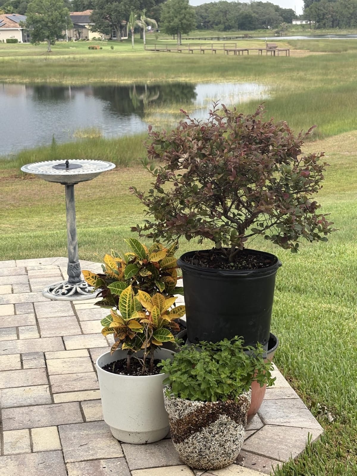 VIVOHOME Bird Bath with Solar Fountain for Outside, Pedestal, Green customer photo 1