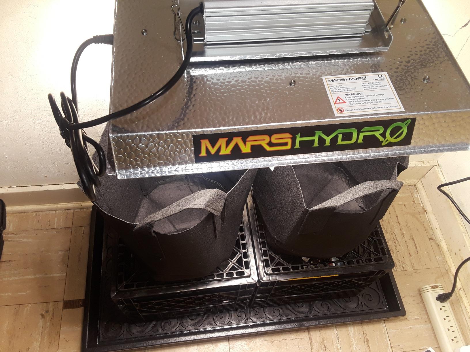 MARS HYDRO 300W TSL2000 Led Grow Lights for Indoor Plants customer photo 2