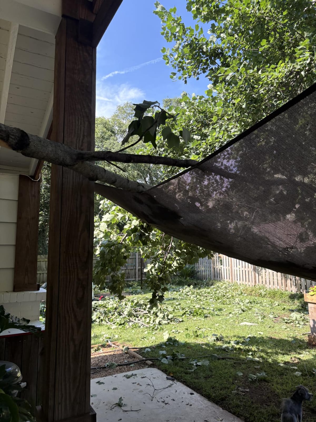 SUNLAX Large Sun Shade Sail 16' x 20' Dark Grey Rectangle Outdoor Canopy customer photo 2